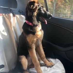 Meet your Posher, Katie